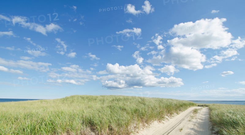 Coastline