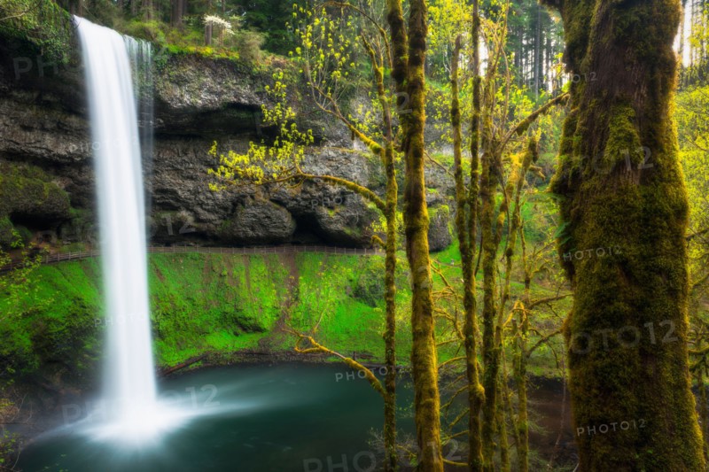 Silver falls