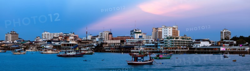 Panoramic cityscape