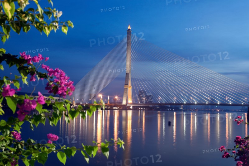 Rama VIII Bridge on Chao Phraya River