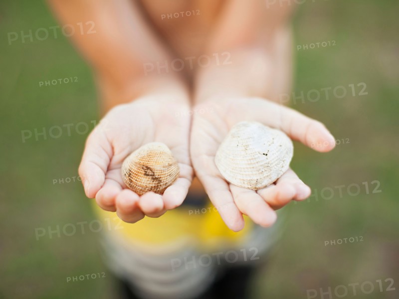 Boy (8-9) holding two shells