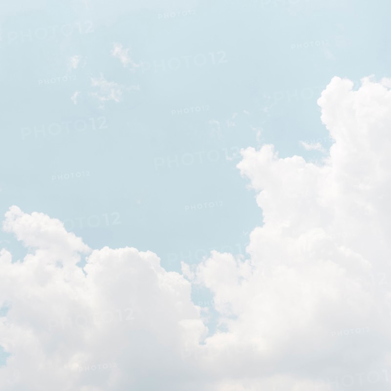 Sky with puffy clouds.