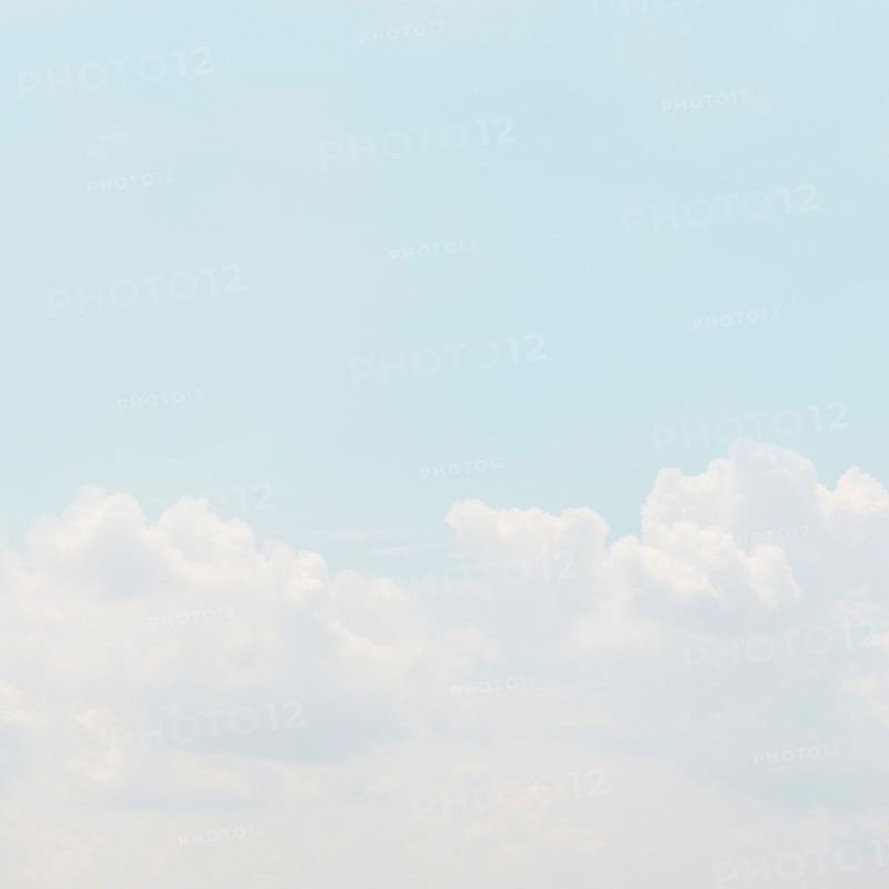 Sky with puffy clouds.