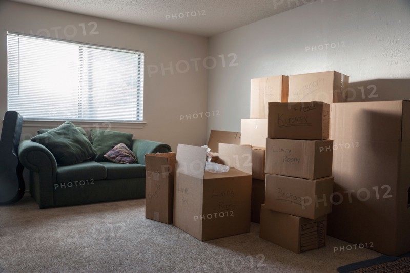 Living room filled with cardboard boxes
