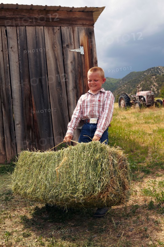 Boy collecting hay