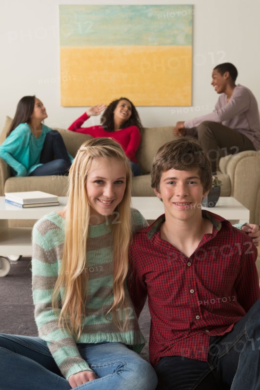 Group of teenagers (12-13,14-15,16-17)