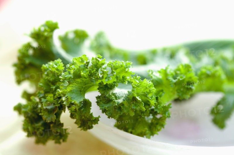 Detail of lettuce leaf