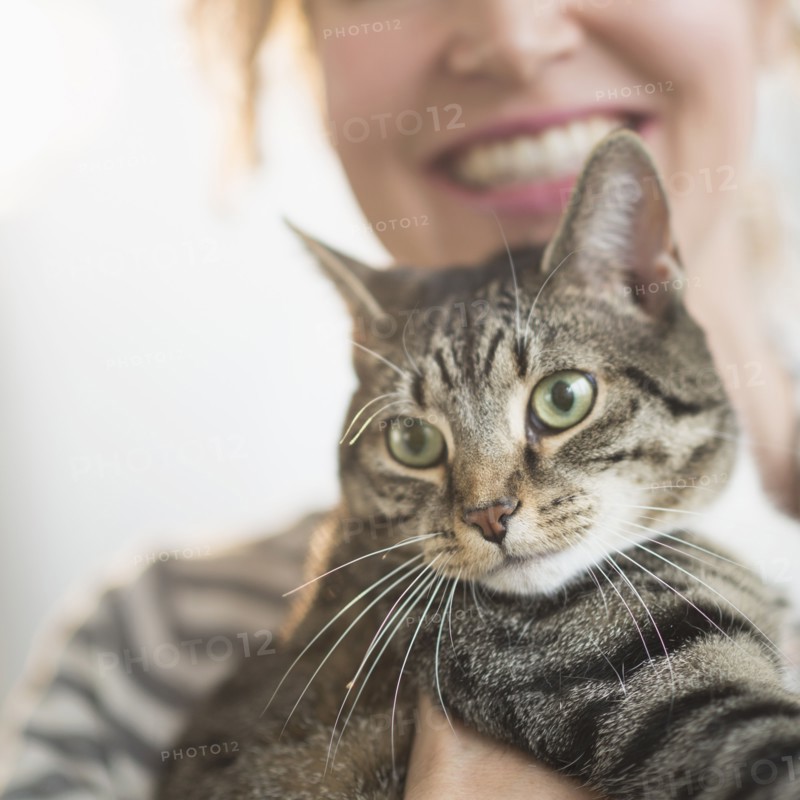 Cat held by woman.