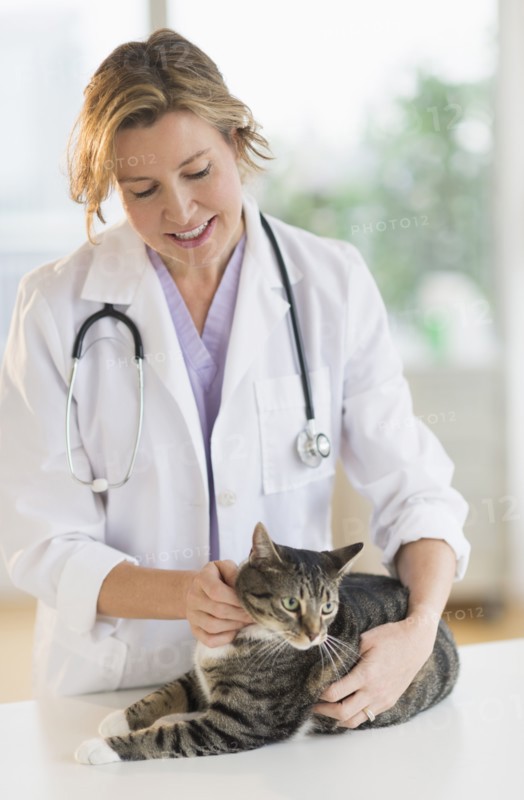 Female vet with cat.