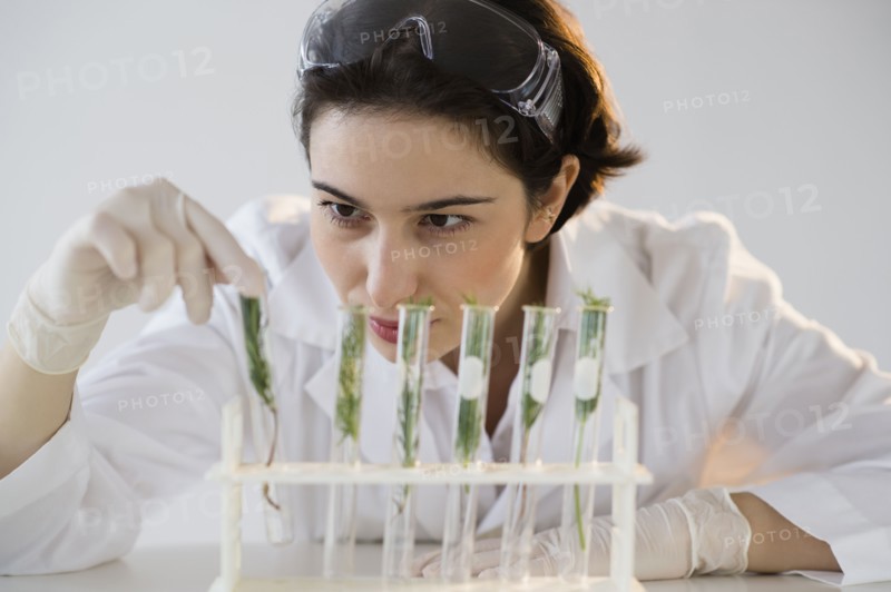 Scientist examining seedlings in test tubes.
Photo : Jamie Grill