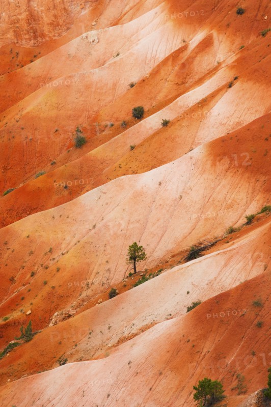Elevated view of barren land. USA, Utah, Bryce Canyon.
Photo : Daniel Grill