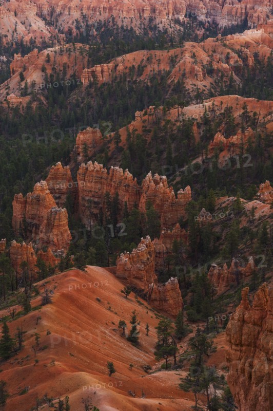 Elevated view of rocks. USA, Utah, Bryce Canyon.
Photo : Daniel Grill
