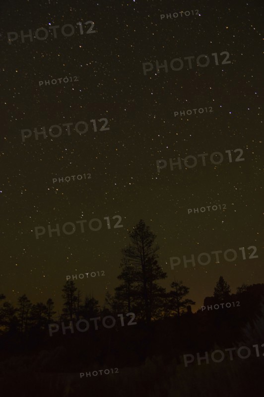 Night sky above trees. USA, Utah, Bryce Canyon.
Photo : Daniel Grill