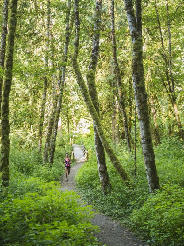 Young women jogging in forest. USA, Oregon, Portland.