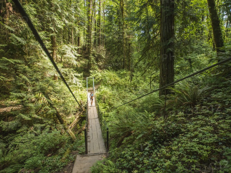 Young woman jogging in forest. USA, Oregon, Portland.