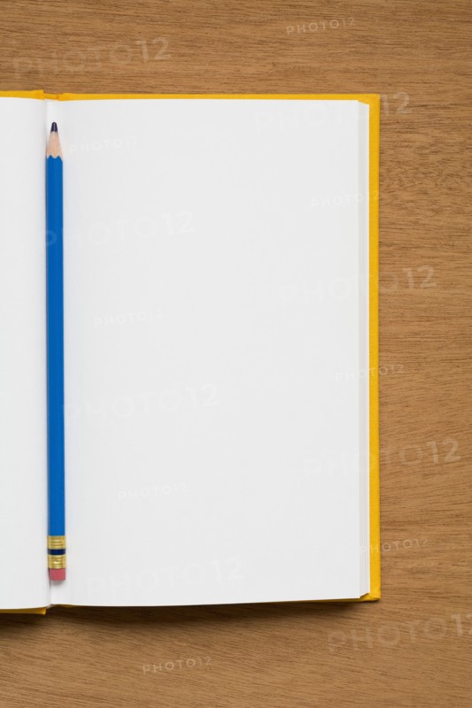 Open and empty journal.
Photo : Kristin Lee