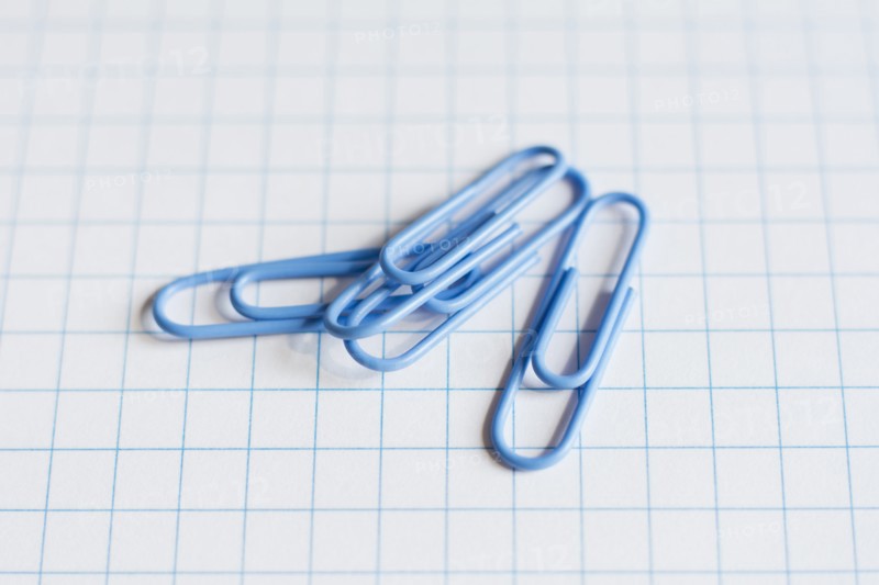 Paper clips.
Photo : Kristin Lee
