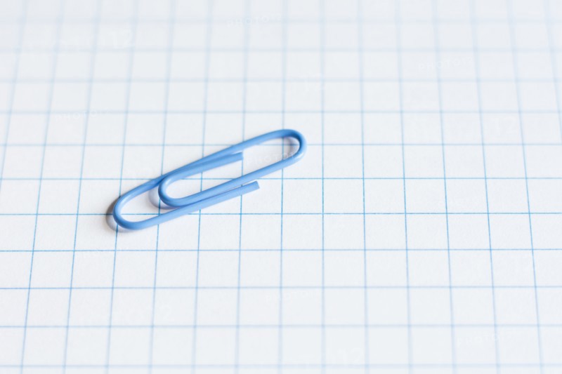 Paper clip.
Photo : Kristin Lee
