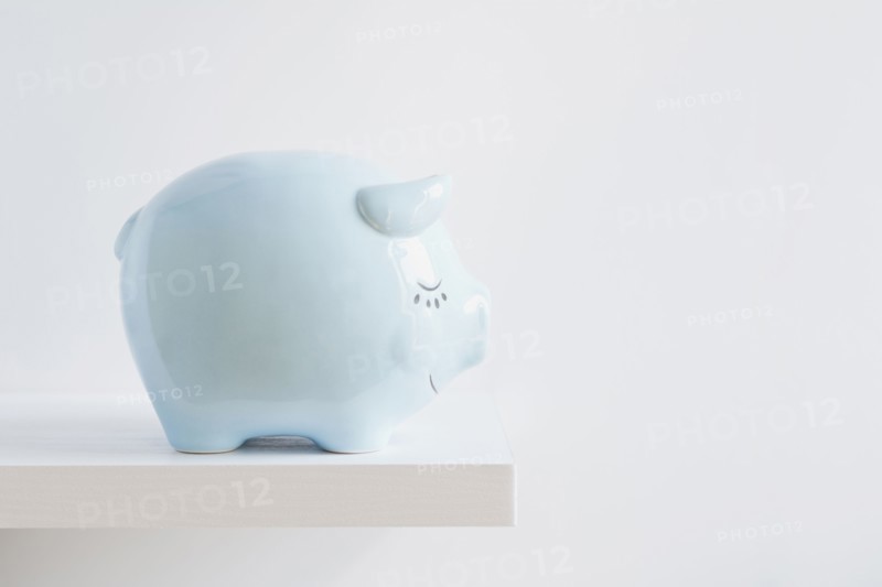 Piggy bank.
Photo : Kristin Lee