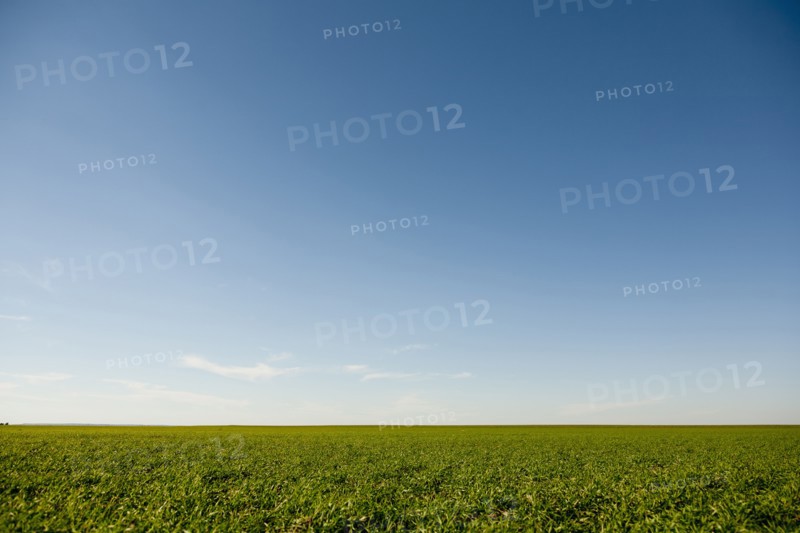 Rural landscape.
Photo : Kristin Lee