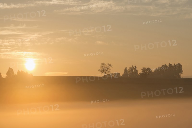 Sunrise over Wilamette Valley. USA, Oregon, Marion County.
Photo : Gary Weathers