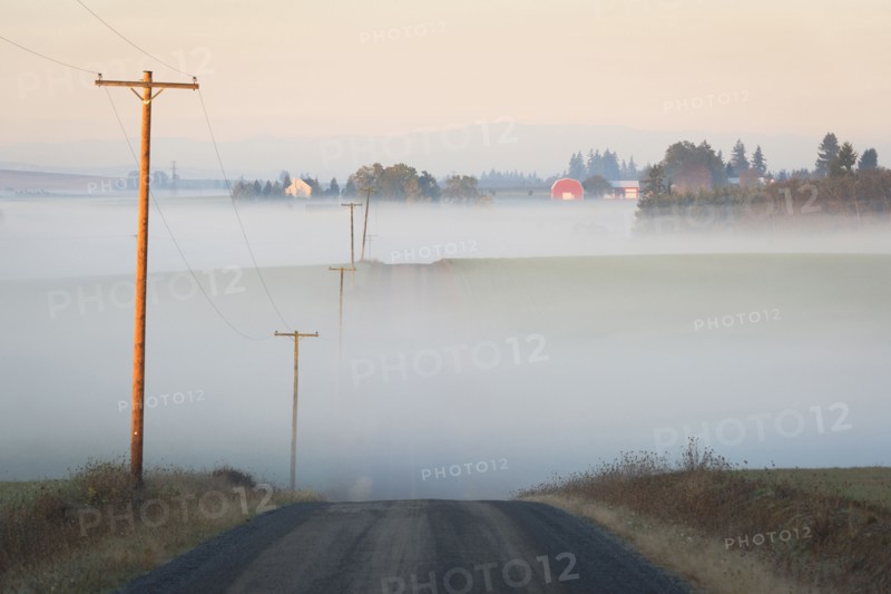 Fog over road. USA, Oregon, Marion County.
Photo : Gary Weathers