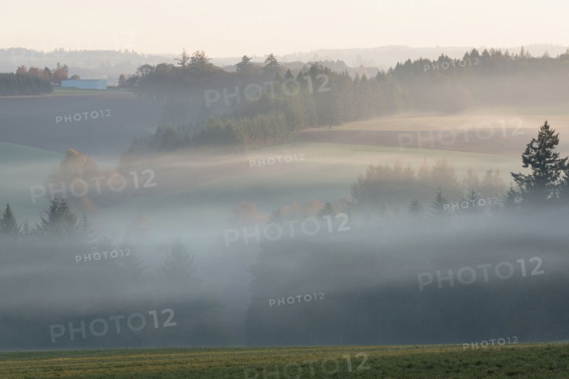 Fog over Wilamette Valley. USA, Oregon, Marion County.
Photo : Gary Weathers