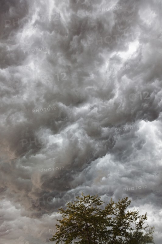 Grey storm clouds. USA, Illinois.
Photo : Henryk Sadura