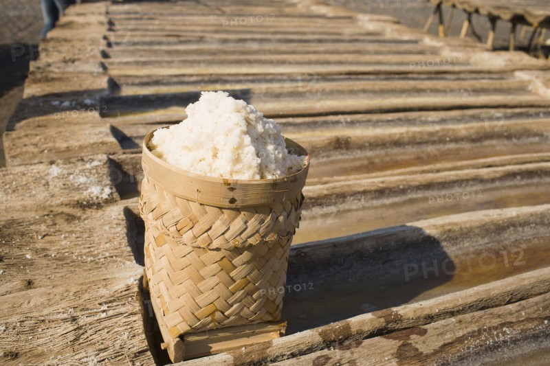 Salt extracted from saltwater.
Photo : Noah Clayton