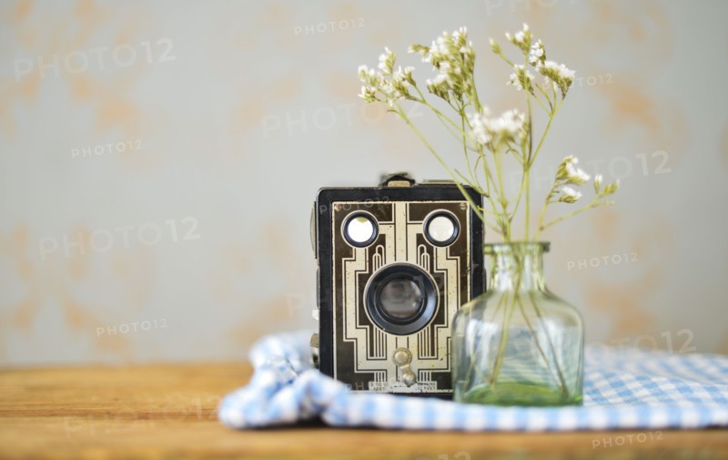 Studio shot of vintage camera and flowers.