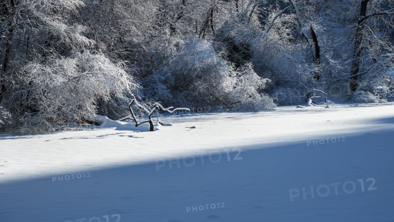 Frozen lake in Central Park. New York City, USA.