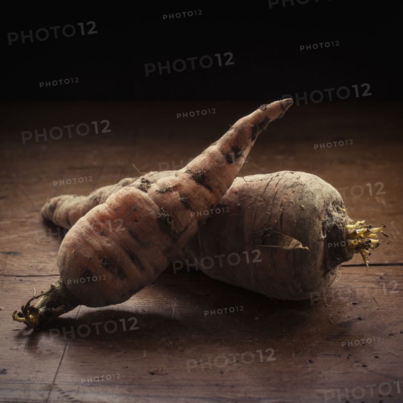 Studio shot of carrots.