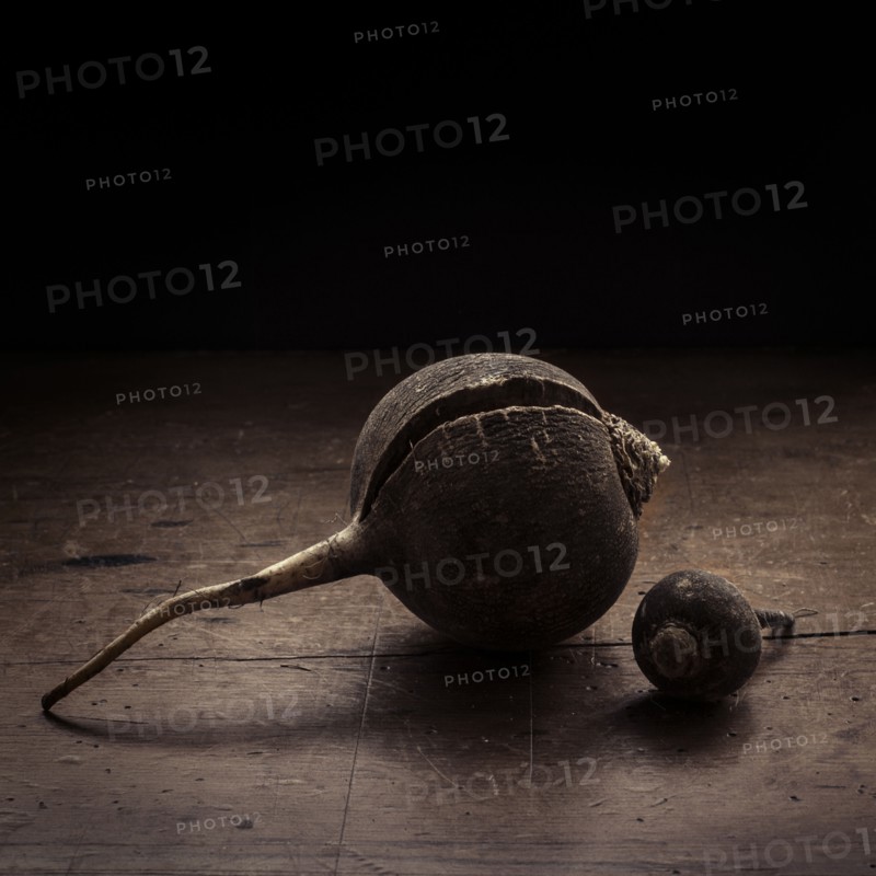 Studio shot of turnip.