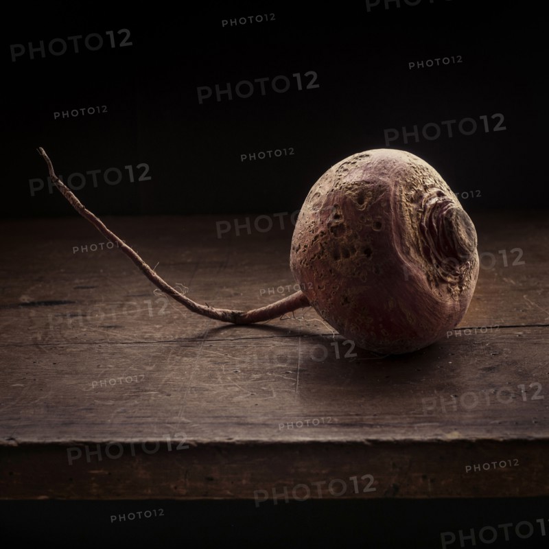Studio shot of common beet.