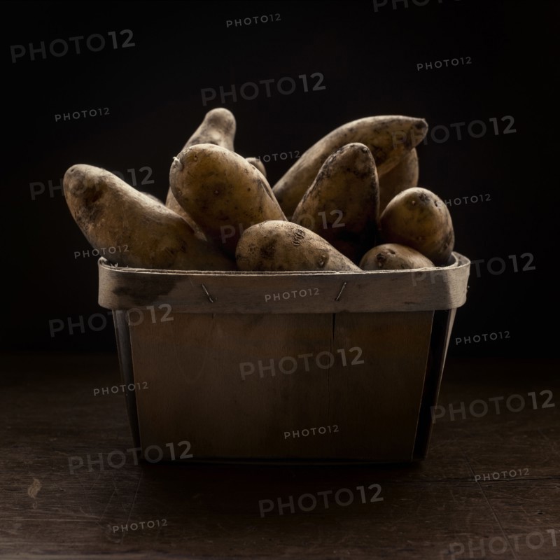 Studio shot potatoes.