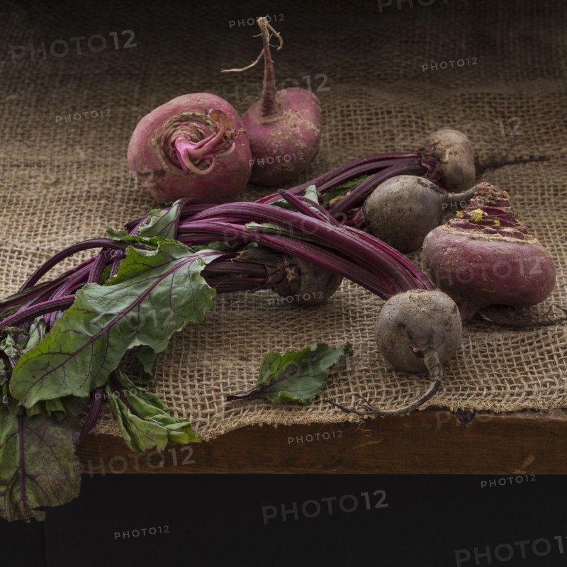 Studio shot of common beets.