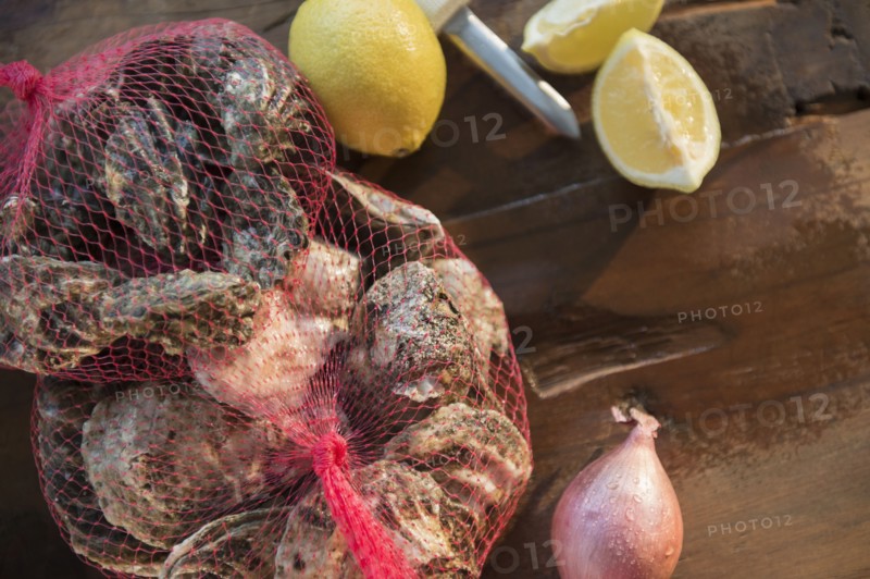 View of oysters and lemons.
Photo : Jamie Grill
