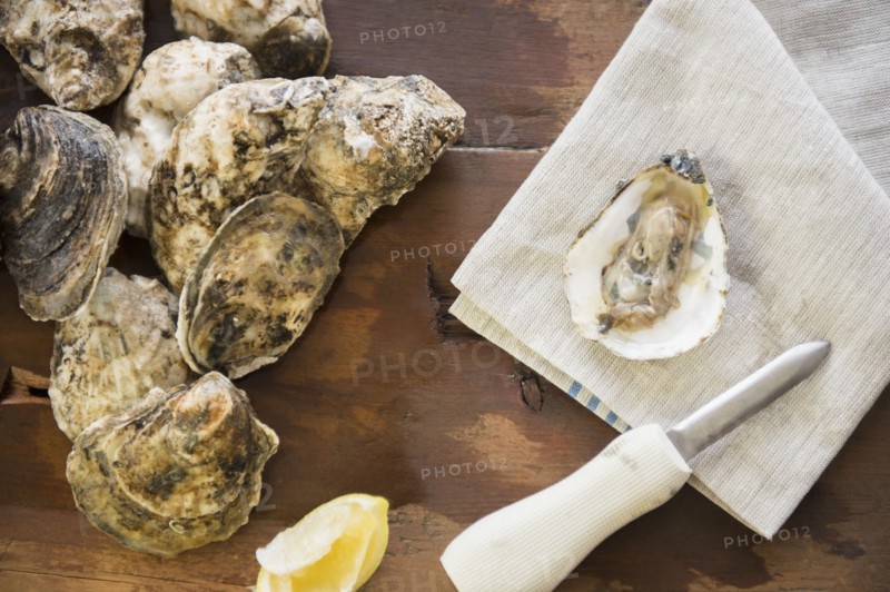 View of oysters.
Photo : Jamie Grill