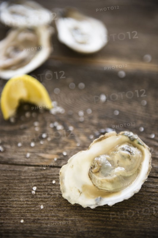 Studio shot of oysters.
Photo : Jamie Grill