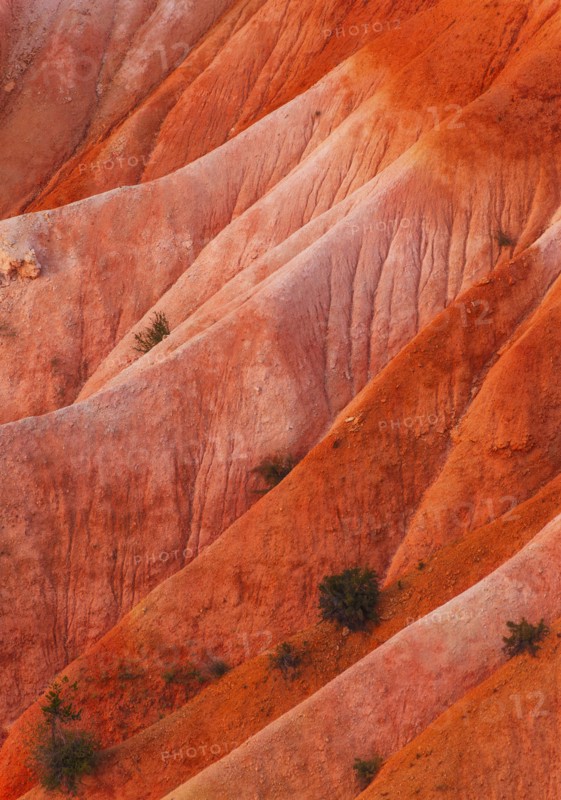 Bryce Canyon National Park. Bryce Canyon National Park, Utah, USA.
Photo : Daniel Grill