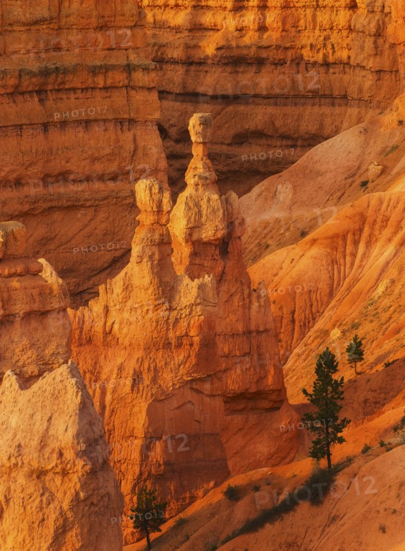 Bryce Canyon National Park. Bryce Canyon National Park, Utah, USA.
Photo : Daniel Grill