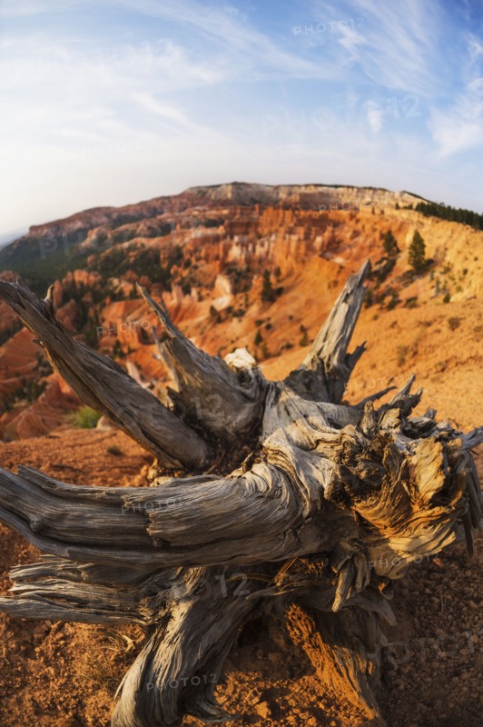 Bryce Canyon National Park. Bryce Canyon National Park, Utah, USA.
Photo : Daniel Grill