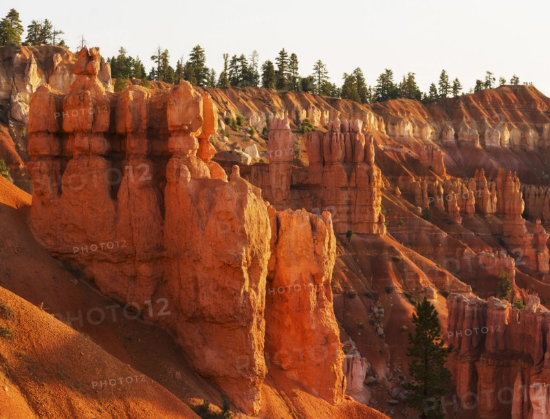 Bryce Canyon National Park. Bryce Canyon National Park, Utah, USA.
Photo : Daniel Grill