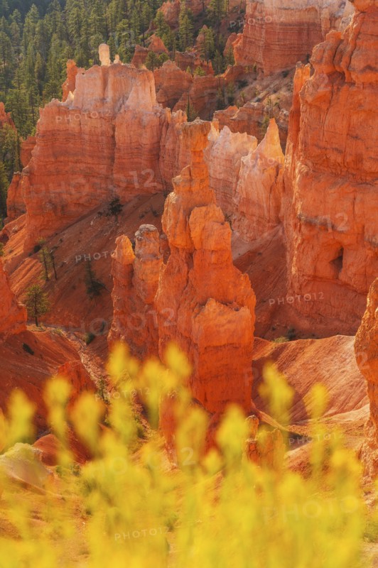 Bryce Canyon National Park. Bryce Canyon National Park, Utah, USA.
Photo : Daniel Grill