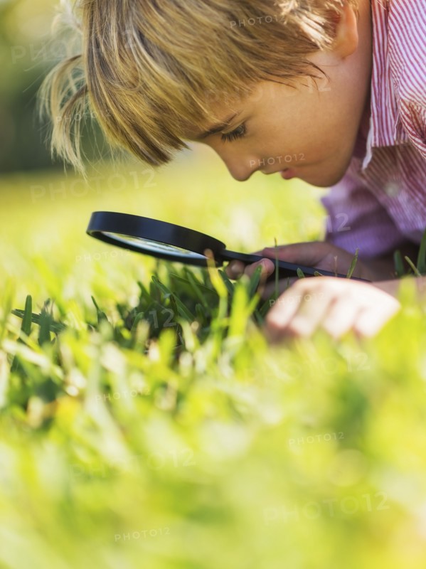 Boy (8-9) searching for bugs.
Photo : Daniel Grill