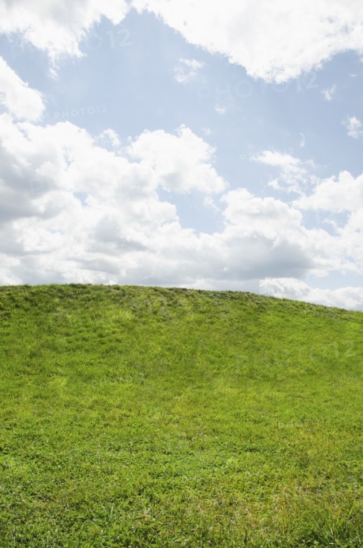 Horizon over green grass. Mountainville, New York State, USA.
Photo : Tetra Images