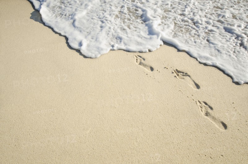 Footprints on sand.
Photo : Chris Hackett