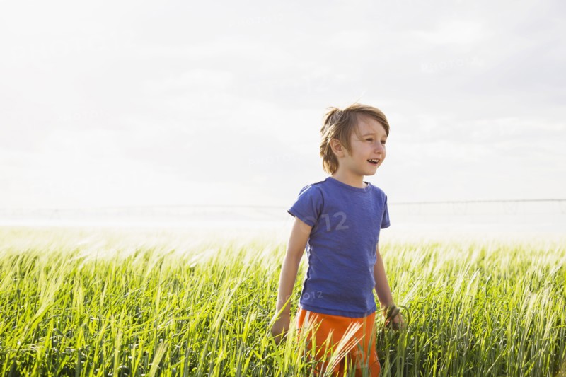 Boy (4-5) standing in grass and looking away. Colorado, USA.
Photo : Maisie Paterson