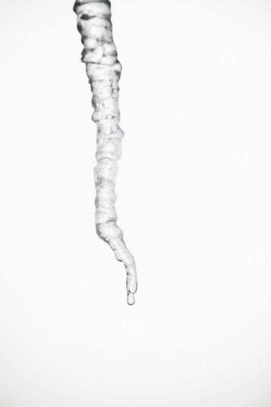 Studio shot of melting icicle.
Photo : Maisie Paterson