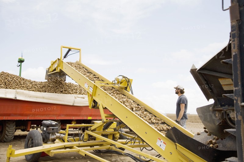 Potato harvest. Colorado, USA.
Photo : Maisie Paterson